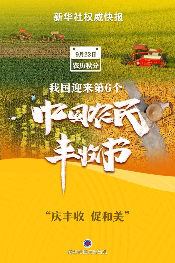菠菜的论坛